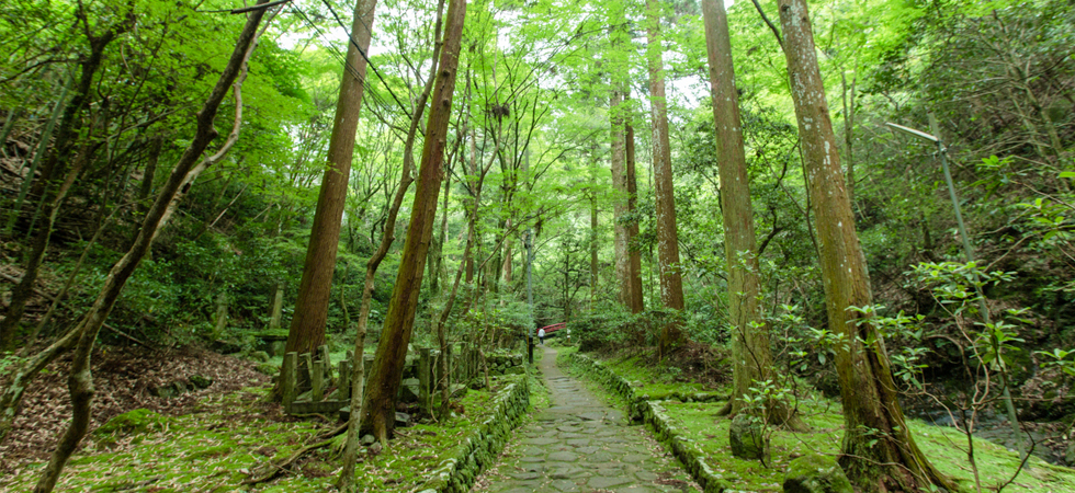 犬鳴山